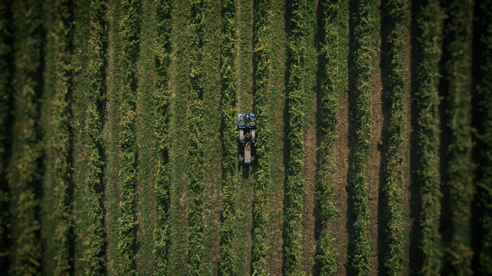 DJI_0025-Edit